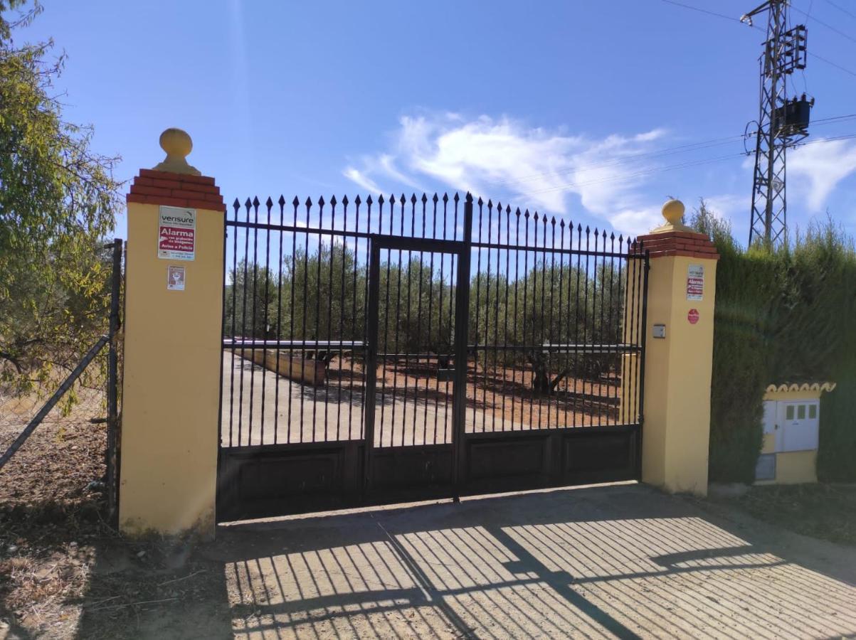 Los Abuelos Setenil De Las Bodegas Eksteriør bilde
