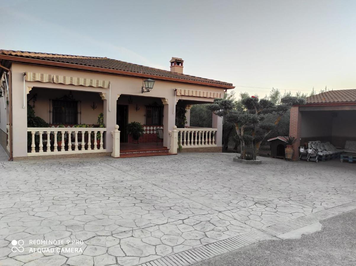 Los Abuelos Setenil De Las Bodegas Eksteriør bilde